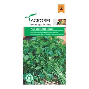 Seminte patrunjel de frunze Plain Leaved • Agrosel