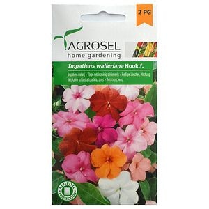 Seminte melanj Impatiens