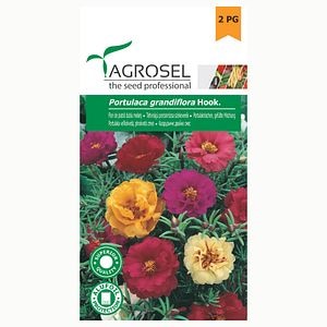 Seminte flori piatra  Agrosel