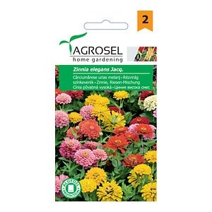 Seminte carciumarese  Agrosel