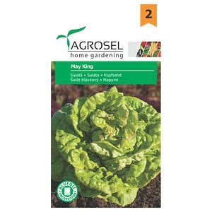 Seminte salata May King • Agrosel