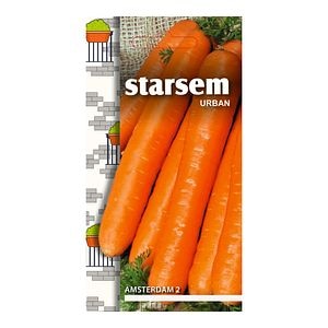Seminte morcovi Amsterdam 2  Starsem