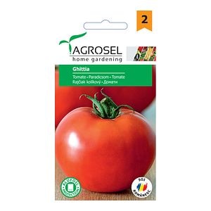 Seminte tomate Ghittia • Agrosel