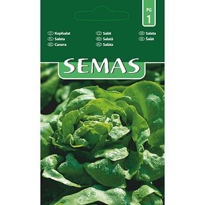 Salata Attraktion SEMAS, 0.5 g