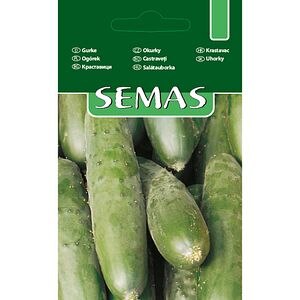 Castraveti Marketmore SEMAS, 0.8 g