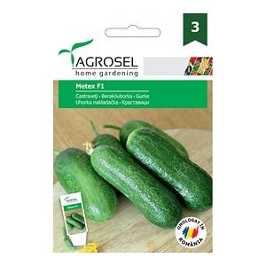 Seminte castraveti • Agrosel
