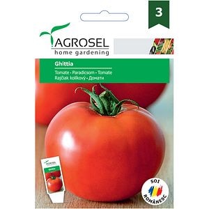 Seminte Tomate Ghittia AGROSEL, 1.5g
