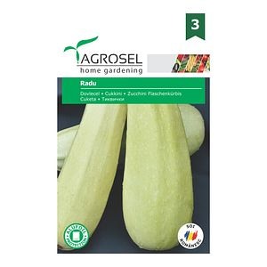 Seminte dovlecel Radu • Agrosel