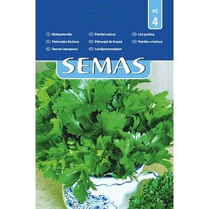 Patrunjel de Frunza Gigante D'italia SEMAS, 3 g