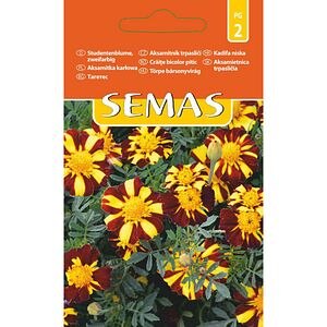 Craite Bicolor Pitic SEMAS, 1 g