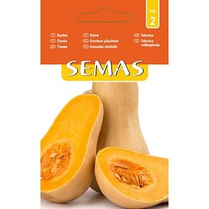 Dovleac Placintar Orange Agro SEMAS, 0.5 g