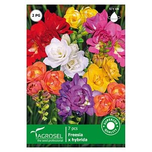 Bulbi Frezie Double Mixed AGROSEL