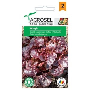 Seminte salata Rosie nou • Agrosel
