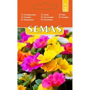 Flori de piatra Simplu SEMAS, 0.2 g