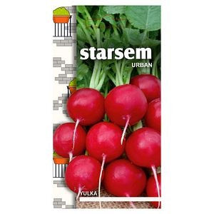 Seminte ridichi  Starsem