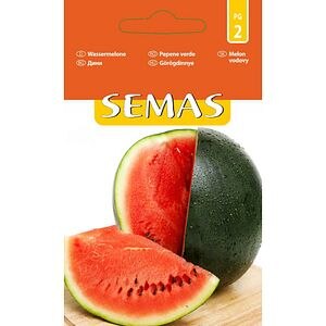 Pepene Verde Sugar Baby SEMAS, 1.3 g