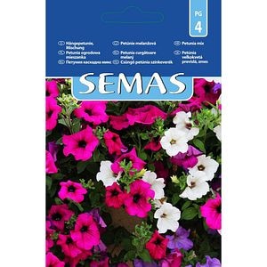 Petunia Curgatoare SEMAS, 0.2 g