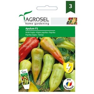 Seminte ardei lung • Agrosel