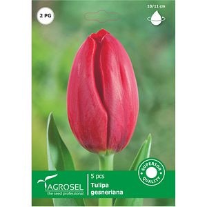 Bulbi Lalea Mark AGROSEL, rosu