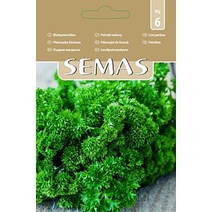 Patrunjel de Frunze Moss Curled 2 SEMAS, 4 g