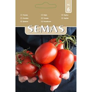 Tomate Silvia SEMAS, 0.7 g