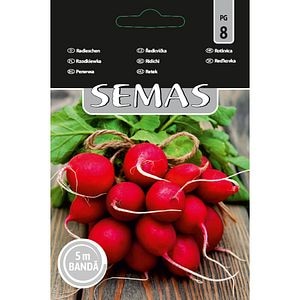 Ridichi Cherry Belle SEMAS, banda 