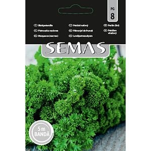 Patrunjel de Frunza Cret Moss Curled 2 SEMAS, banda 