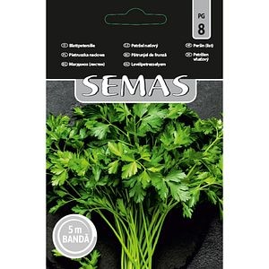 Patrunjel de Frunza Commun 2 SEMAS, banda 