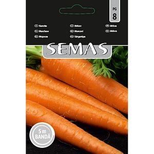 Morcovi Dolanka SEMAS, banda 