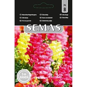 Gura Curcubeului SEMAS, banda 