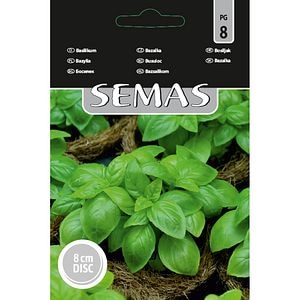 Busuioc Genovese SEMAS, disc 