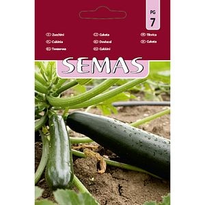 Dovlecel Ambassador F1 SEMAS, 10 bucati