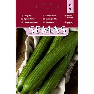 Castraveti Beth Alfa F1 SEMAS, 10 bucati