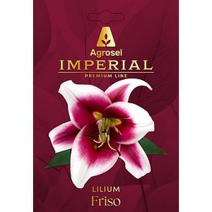 Crin Friso AGROSEL, 3 bulbi
