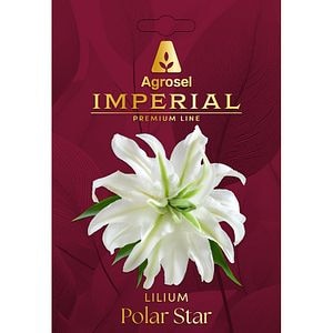 Crin Polar Star AGROSEL, 2 bulbi