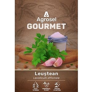 Leustean AGROSEL Levisticum Officinale