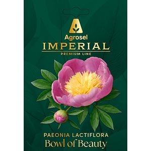 Bulb bujor Bowl of Beauty IMPERIAL, 1 bucata