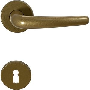 Maner cu rozeta D50, aluminiu, 110 mm, auriu