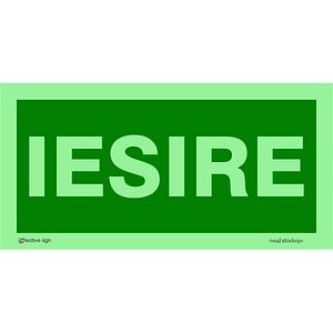 Indicator "Iesire" CREATIVE SIGN, fotoluminiscent, 10 x 20cm