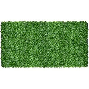 Imitatie gard viu, 1.7x10 m
