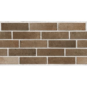 Placa murala Titanium Teracota, maro, 30 x 60 cm, 9 mm, 1.08 mp/cutie