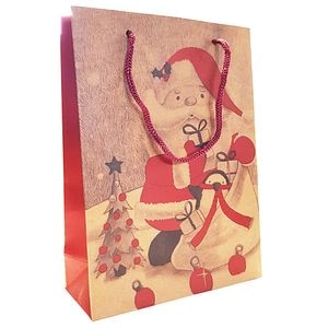 Punga cadou Craciun, 20 x 16 x 6 cm, multicolor