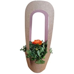 Ranunculus punga colectia Love Rocks, D 11cm