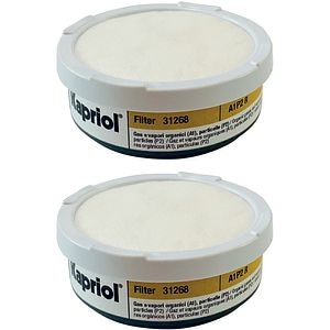 Set 2 filtre KAPRIOL A1P1, compatibil Twin Fly