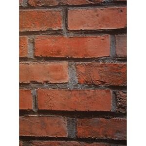Autocolant PVC, 45 x 100 cm, rosu