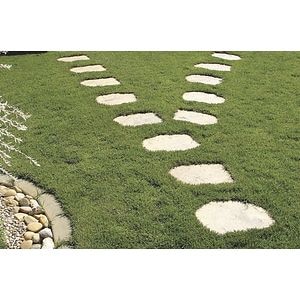 Dala gradina, beton, bej, 56 x 42 x 3.7 cm  Bradstone