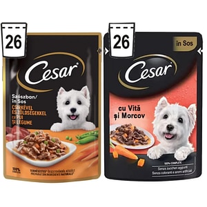 Hrana umeda pentru caini CESAR, Adult, Mix in sos, 13 x 4 x 100 g