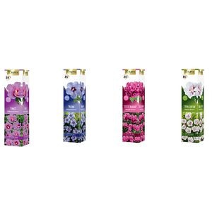 Arbusti Ornamentali Hibiscus Premium