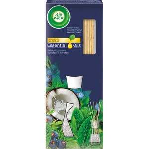 Odorizant cu betisoare AIR WICK, Lush, 25 ml