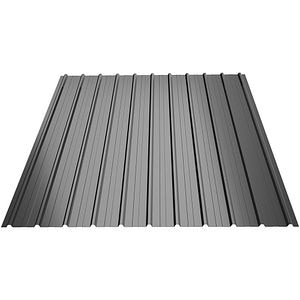 Tabla cutata T10 BILKA, gri lucios (RAL 7024), 0.25 mm, 200 x 91 cm